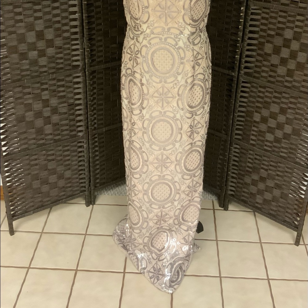 Stunning Evening Gown